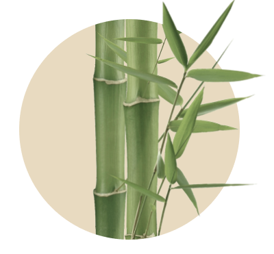 Sustainable bamboo